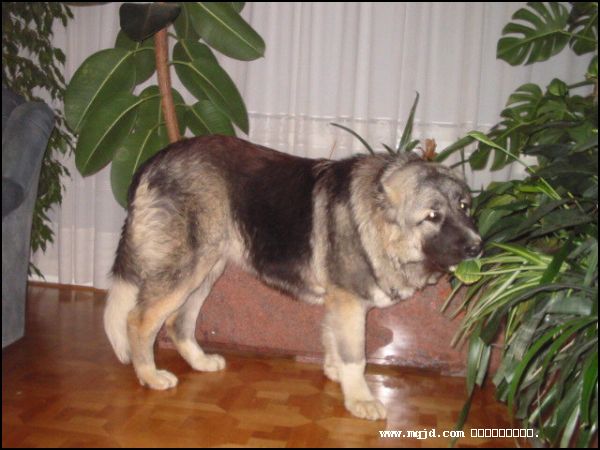 20061221110257.jpg