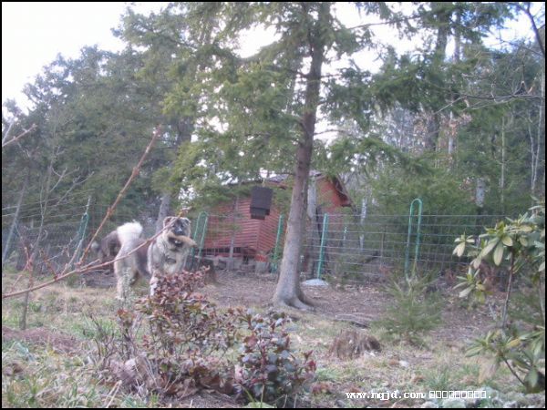 20061221110533.jpg