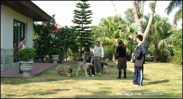 20061224224423.jpg