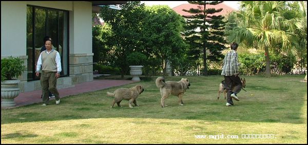 20061224225255.jpg