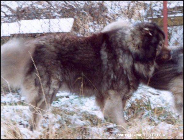 20061227141258.jpg