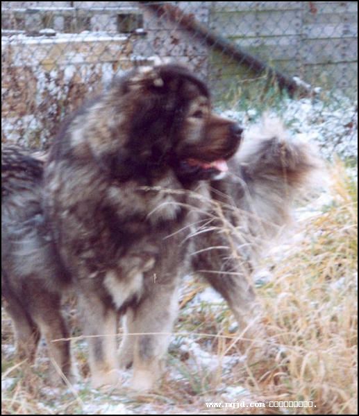 20061227141307.jpg