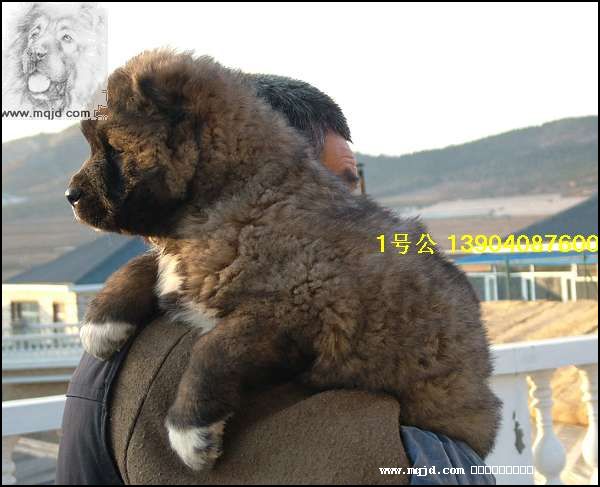 2006123130807.jpg
