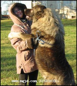 2006124135605.jpg