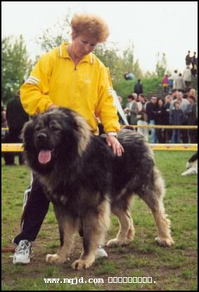 2006124135952.jpg