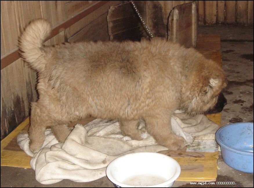 2006126144027.jpg