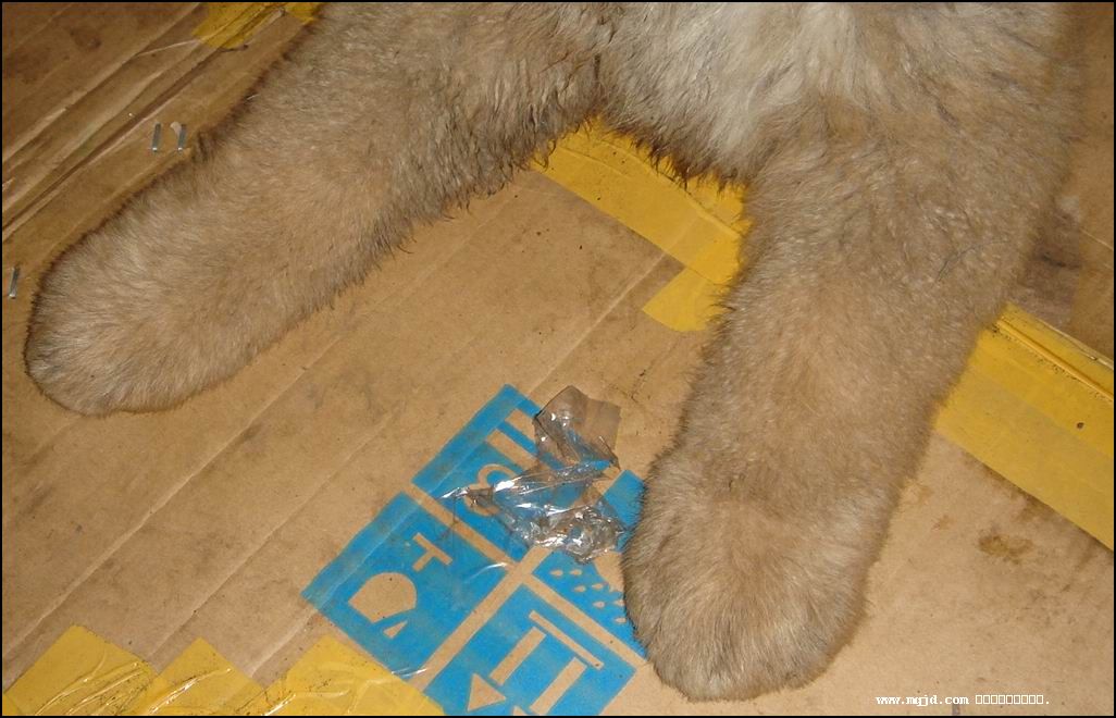 2006126144227.jpg