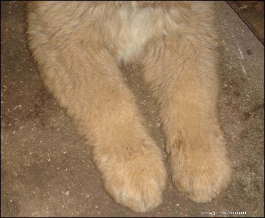 2006129151555.jpg