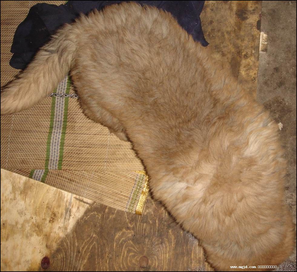 2006129151648.jpg