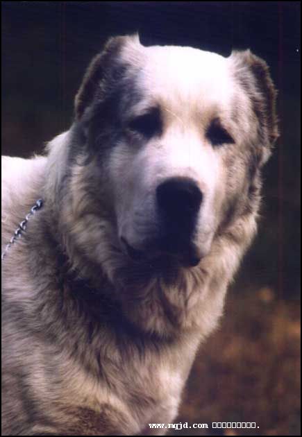 200665160251.jpg