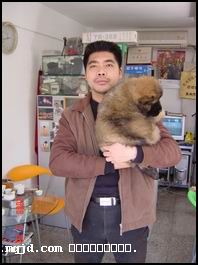 200668173131.jpg