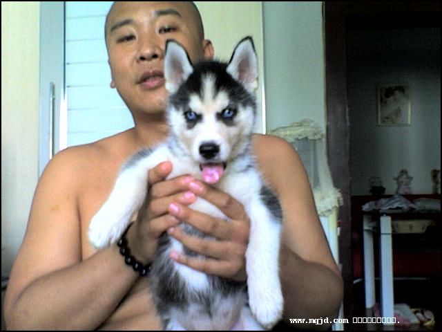 2006727173529.jpg