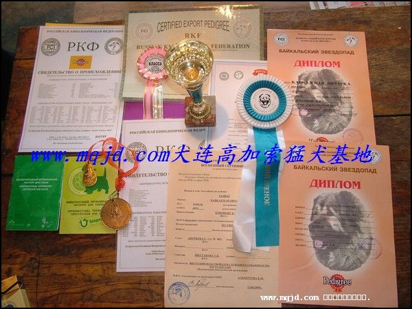 2006812114430.jpg