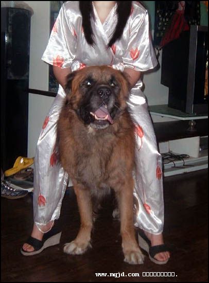200681312649.jpg