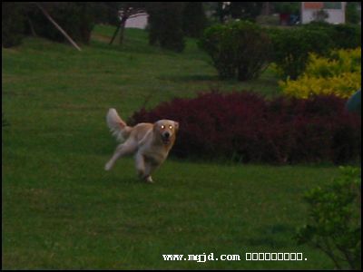 200681882604.jpg