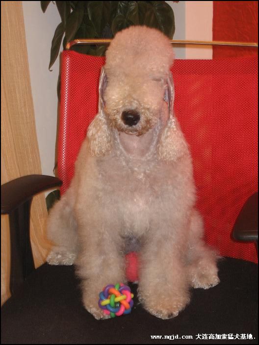 200691115605.jpg