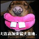 2006911213619.jpg