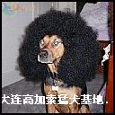 2006911213636.jpg