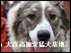 2006911215809.jpg