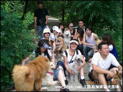 200691214454.jpg