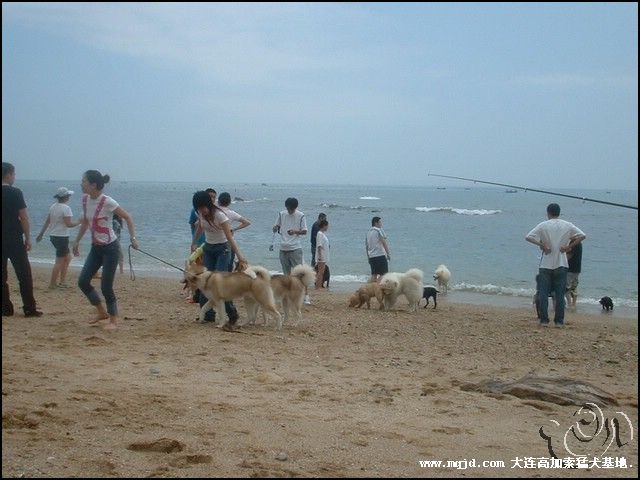 200691214528.jpg