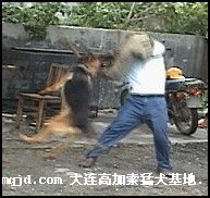 2006912213116.jpg