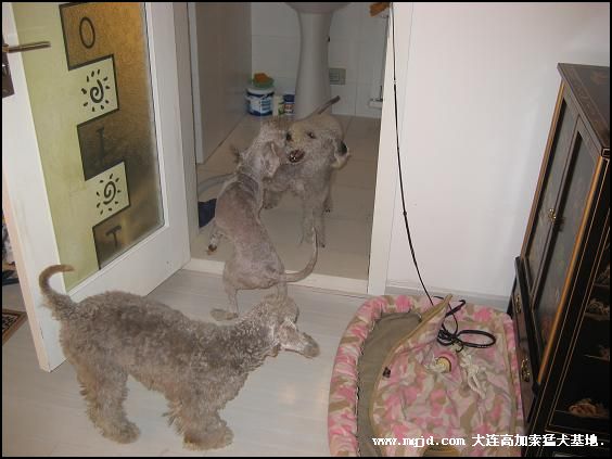 2006912213553.jpg