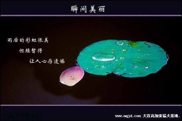 200691250528.jpg