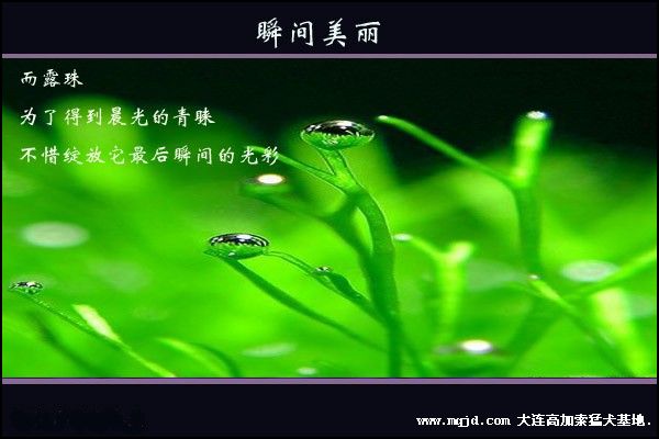 200691250546.jpg