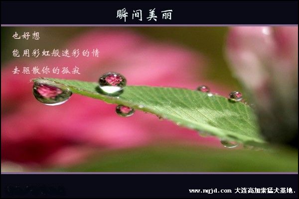 200691250749.jpg