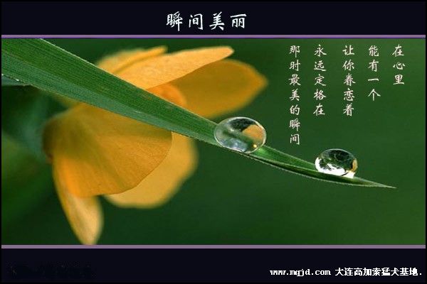 200691250824.jpg