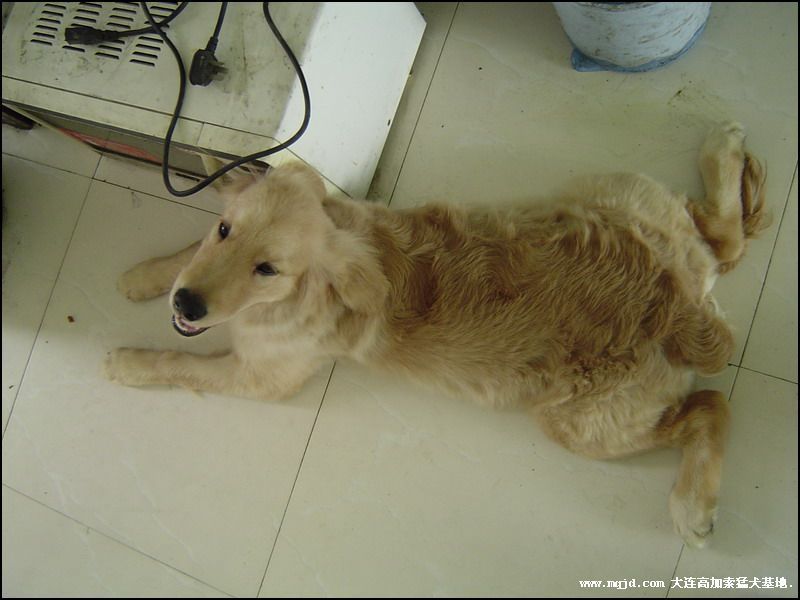 200692203301.jpg
