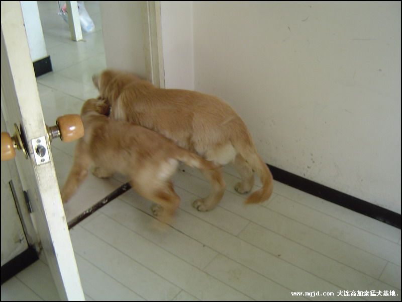 200692203726.jpg