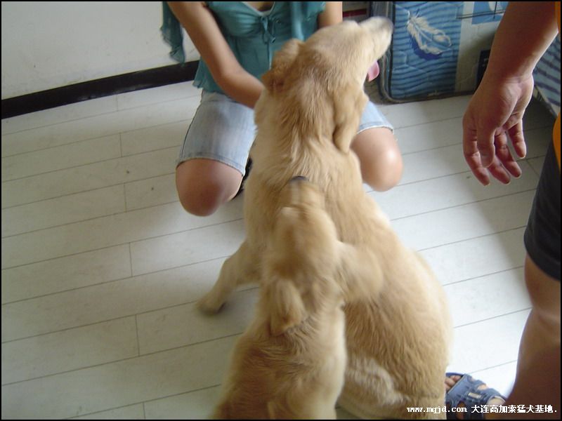 200692203816.jpg