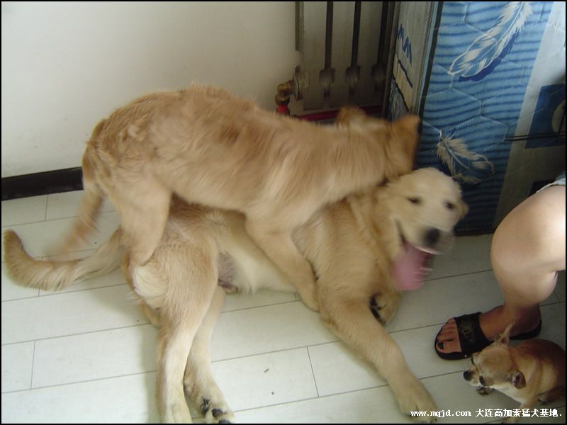 200692204403.jpg