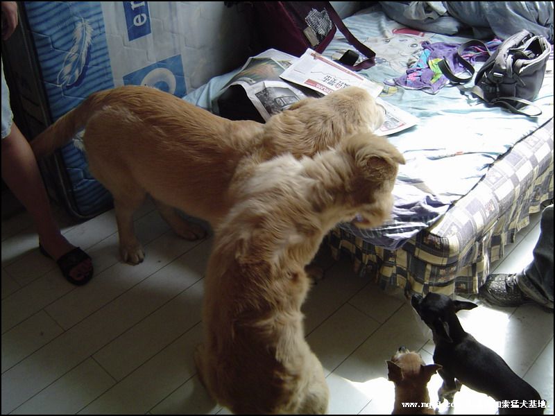 200692205225.jpg