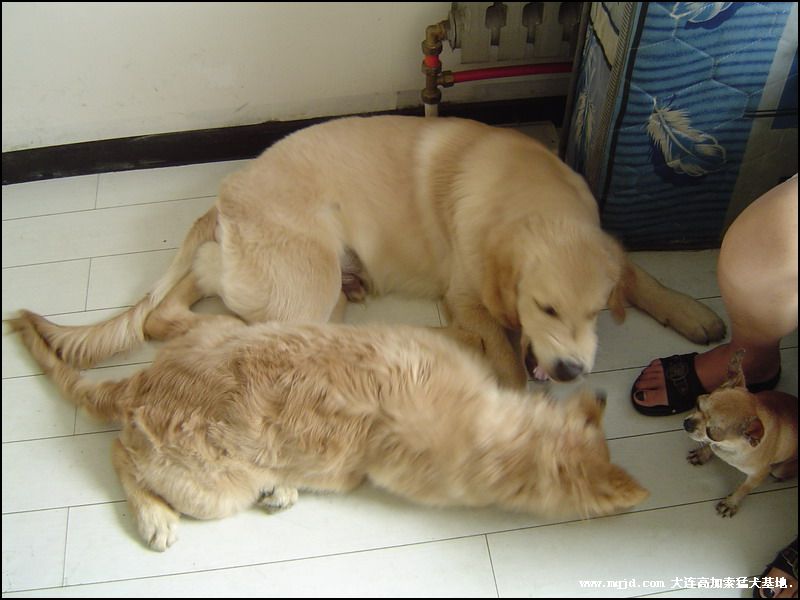 200692211018.jpg