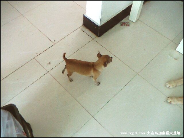 200692214556.jpg