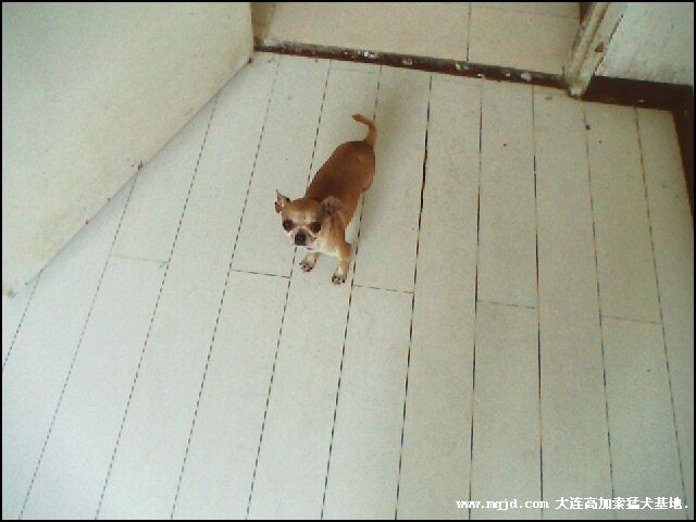 200692214608.jpg