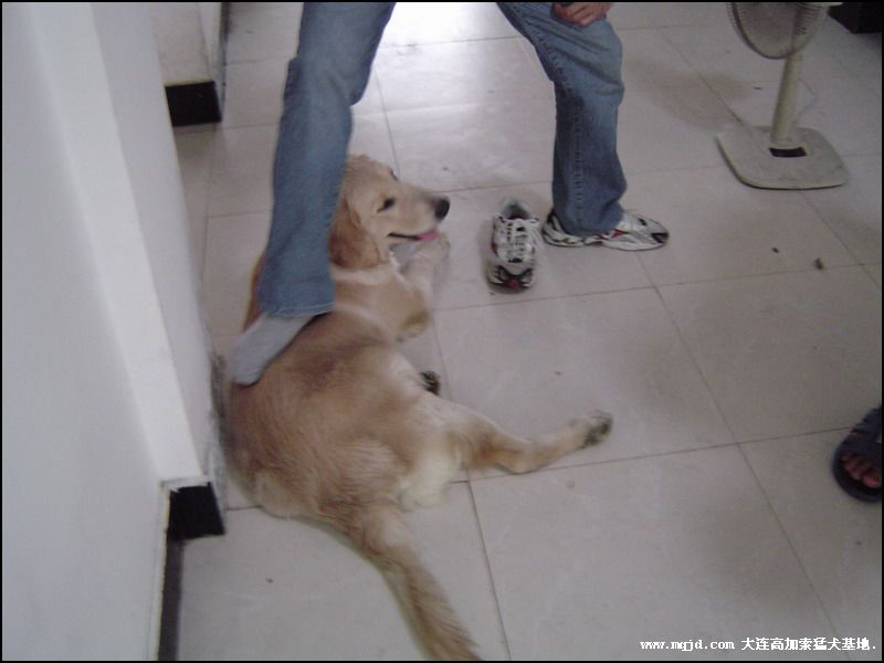20069311454.jpg