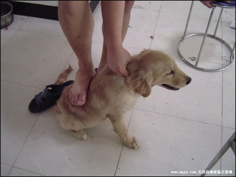 20069311638.jpg