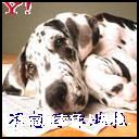 200694151623.jpg