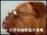 200694152229.jpg