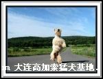 200694153022.jpg
