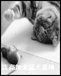 200694153050.jpg