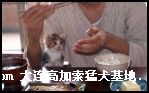 200694160004.jpg