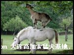 200694160034.jpg