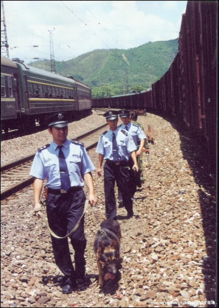 20069985451.jpg