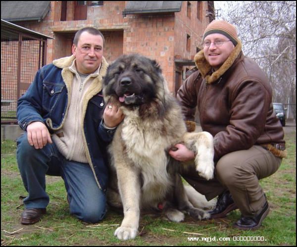 2007111220505.jpg