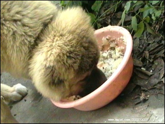 200711604723.jpg
